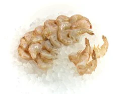 Freshwater Shrimp 4/8 Frozen
