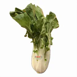 Bok Choy Sum