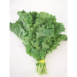 Organic Kale