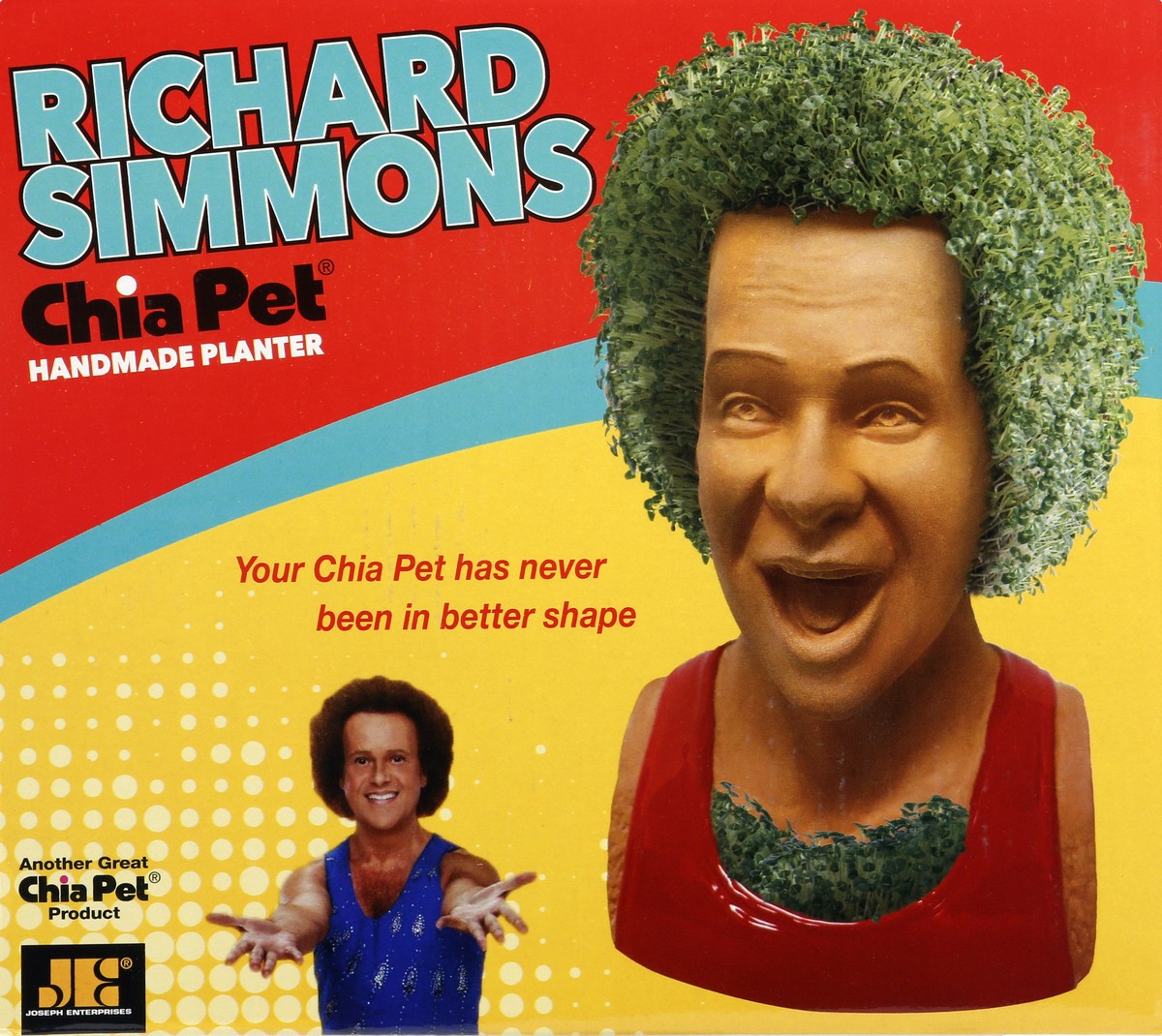 slide 6 of 9, Chia Pet NECA Chia Richard Simmons, 1 ct