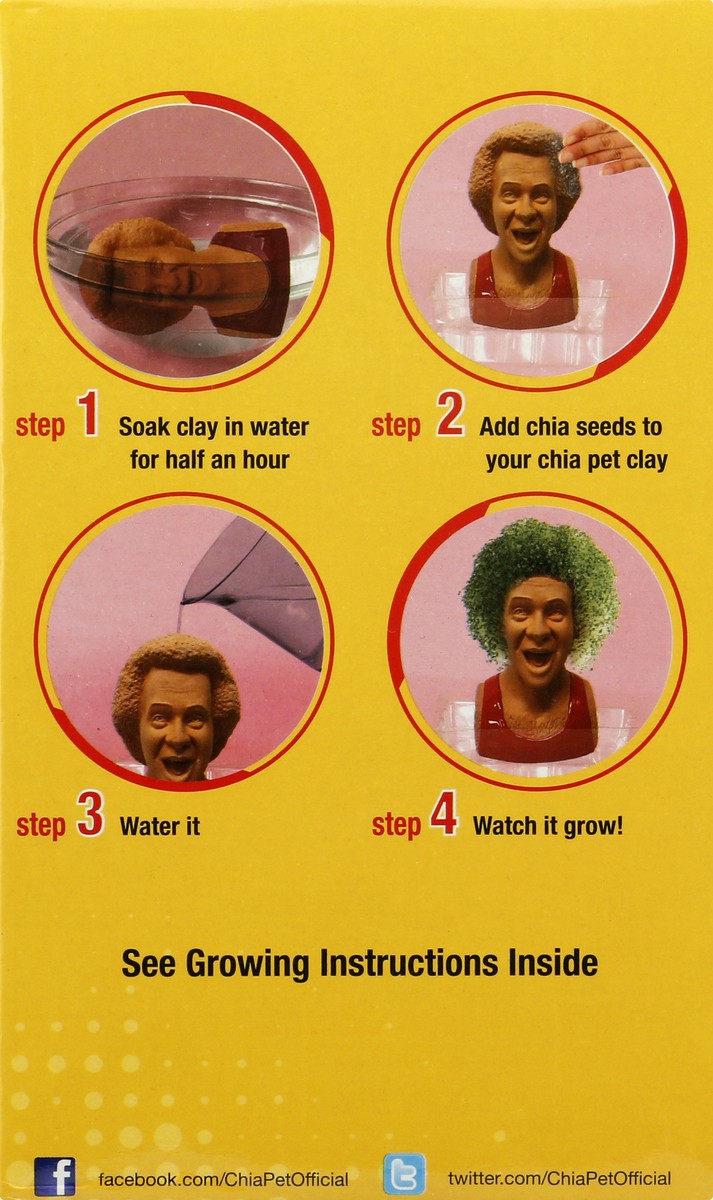 slide 8 of 9, Chia Pet NECA Chia Richard Simmons, 1 ct