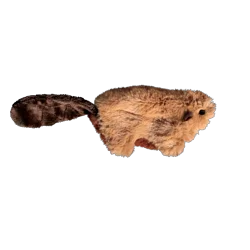 Kong Refillables Beaver Cat Toy with Catnip