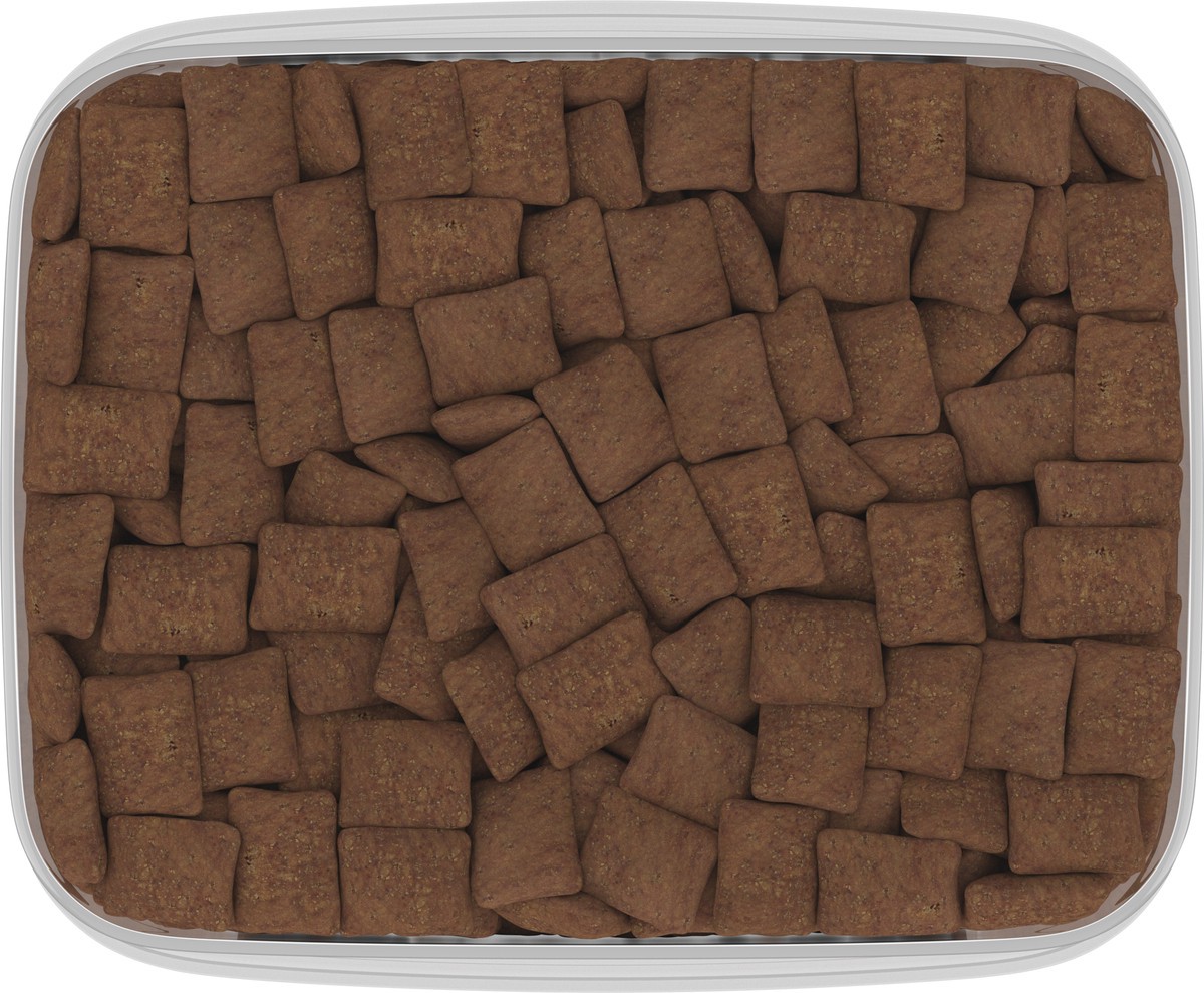 slide 5 of 16, Temptations Value Size Savory Salmon Flavor Treats for Cats Value Size 16 oz, 16 oz