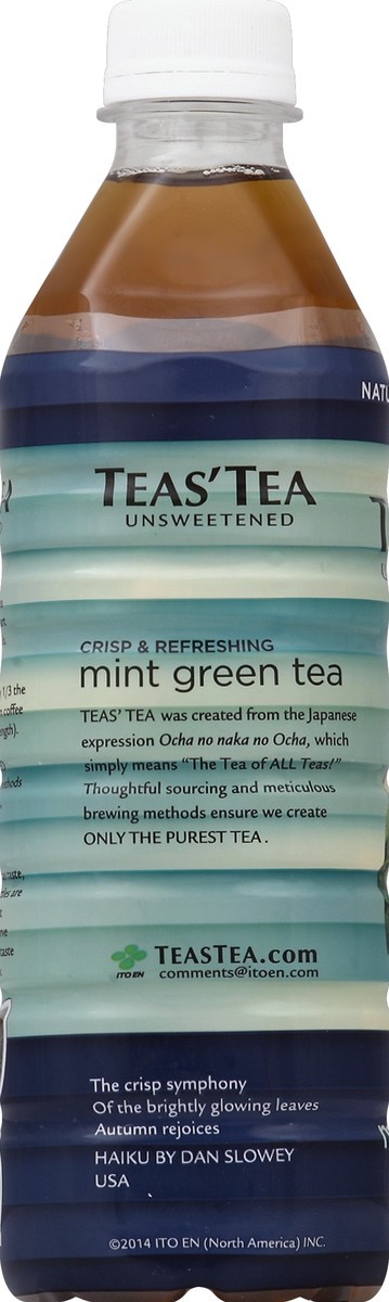 slide 4 of 4, Teas' Tea Mint Green Tea Unsweetened - 16.9 fl oz, 16.9 fl oz