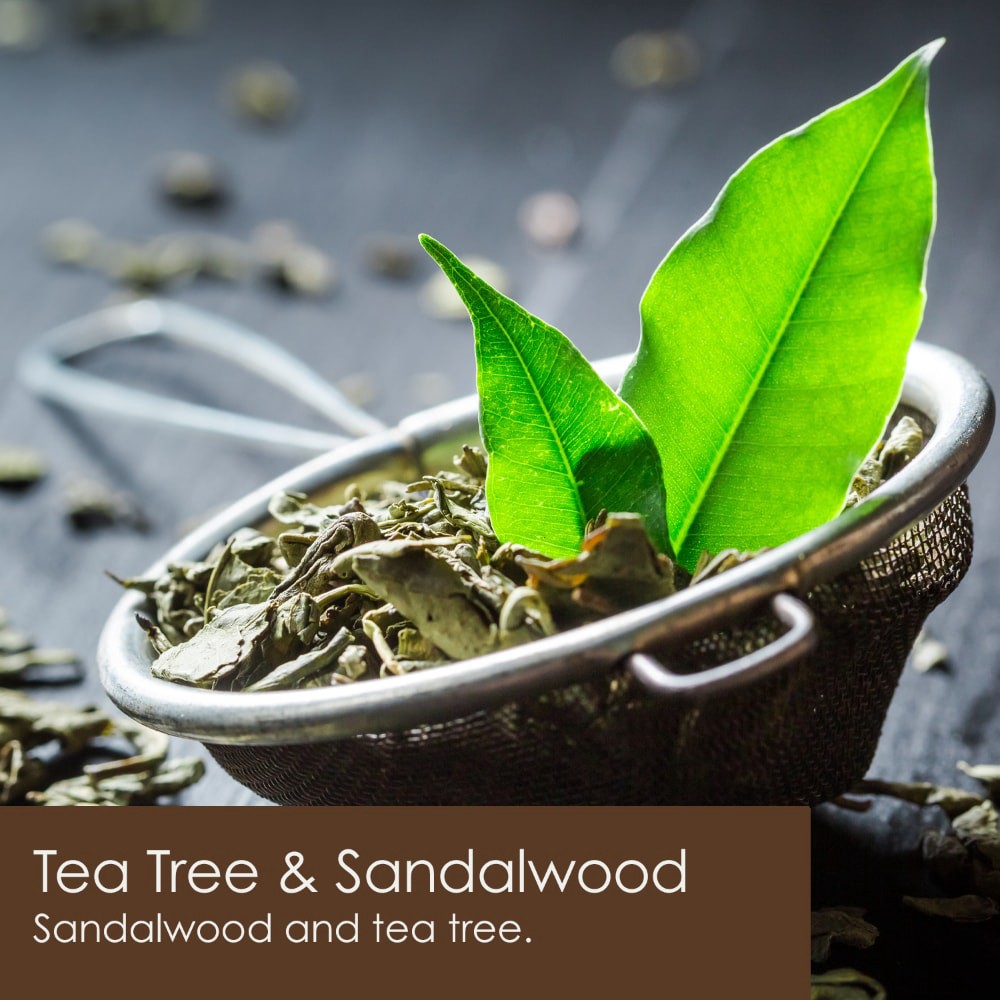 slide 3 of 5, Tuscany Candle Soy Blend Scented Tea Tree & Sandalwood Candle 1 Each, 1 ct