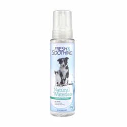 Naturel Promise Natural Waterless Foaming Shampoo