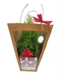 Armstrong 6" Cypress With Ornaments