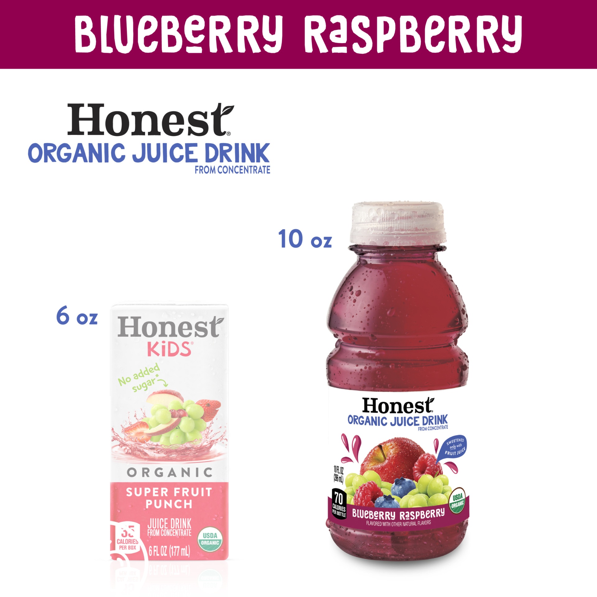 slide 6 of 8, Honest Tea Honest Kids Honest Organic Blueberry Raspberry Juice / Bottles, 6 ct; 10 fl oz