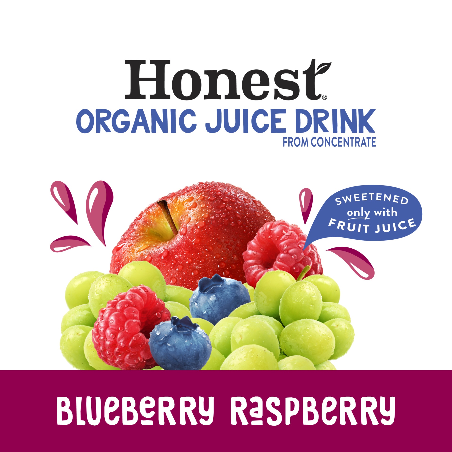 slide 7 of 8, Honest Tea Honest Kids Honest Organic Blueberry Raspberry Juice / Bottles, 6 ct; 10 fl oz
