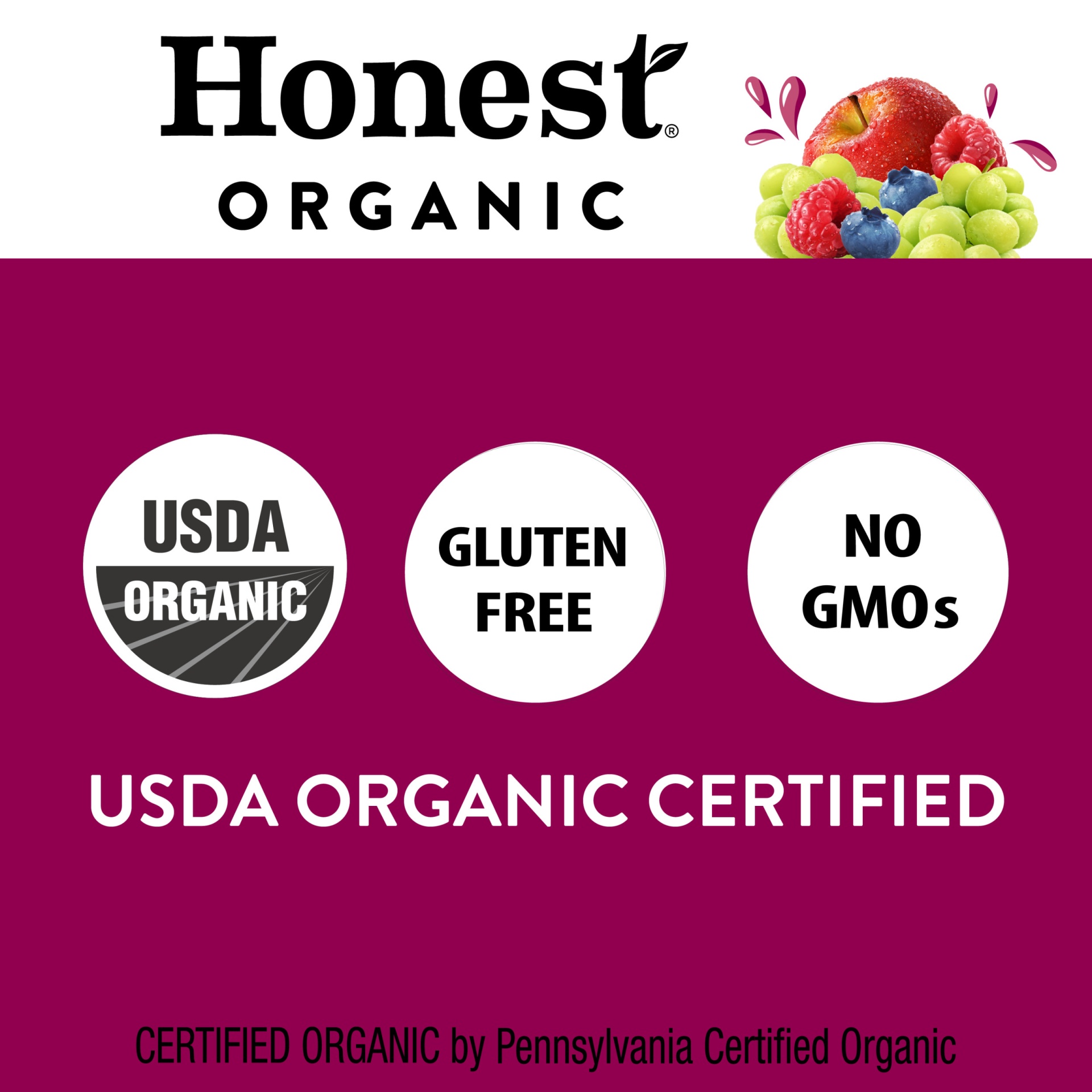 slide 8 of 8, Honest Tea Honest Kids Honest Organic Blueberry Raspberry Juice / Bottles, 6 ct; 10 fl oz