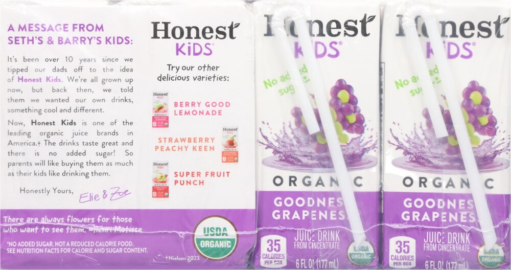 slide 2 of 4, Honest Kids Organic Goodness Grapeness Juice Cartons - 8 ct; 6 fl oz, 8 ct; 6 fl oz