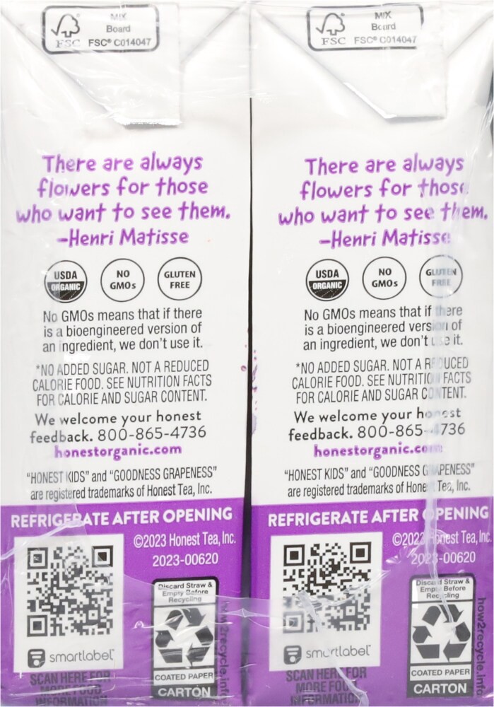 slide 4 of 4, Honest Kids Organic Goodness Grapeness Juice Cartons - 8 ct; 6 fl oz, 8 ct; 6 fl oz