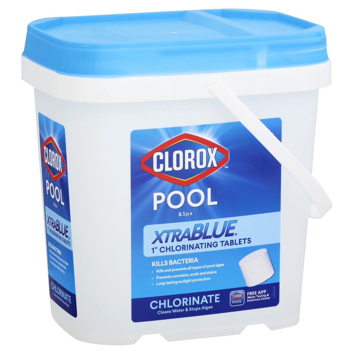 slide 6 of 10, Clorox Chlorinating Tablets 1 ea, 1 ct
