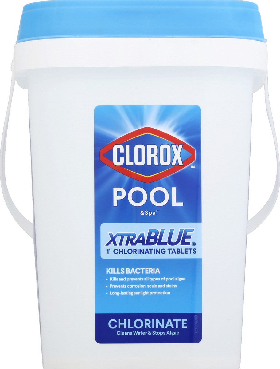 slide 5 of 10, Clorox Chlorinating Tablets 1 ea, 1 ct