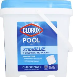 Clorox Chlorinating Tablets 1 ea