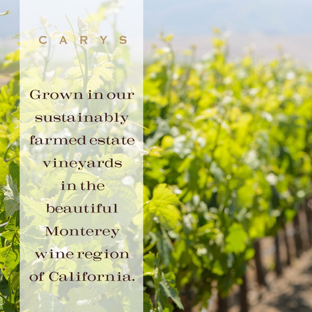 slide 6 of 6, Cary's Carys Pinot Gris, 750 ml