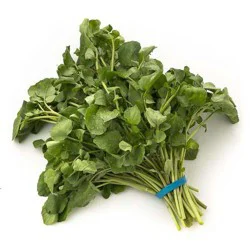 Organic Living Watercress 1 Ea