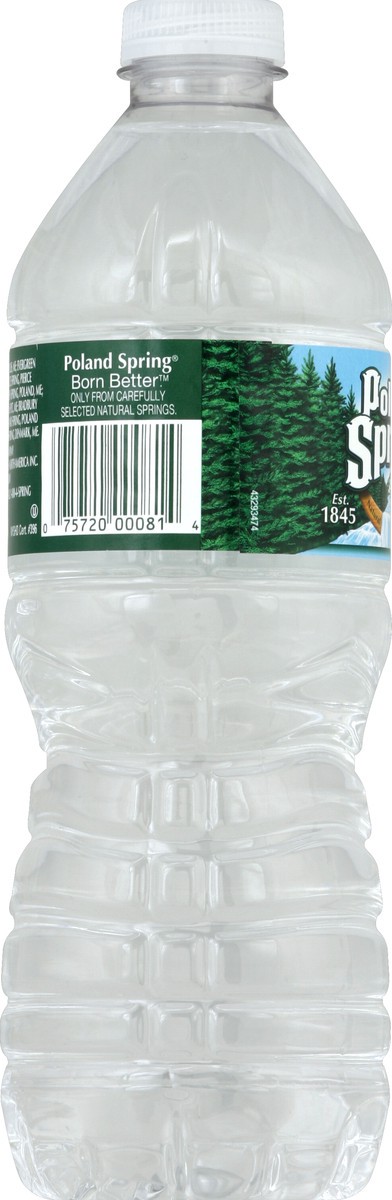 slide 4 of 4, Poland Spring Brand 100% Natural Spring Water, 16.9-ounce plastic bottle, 16.9 fl oz