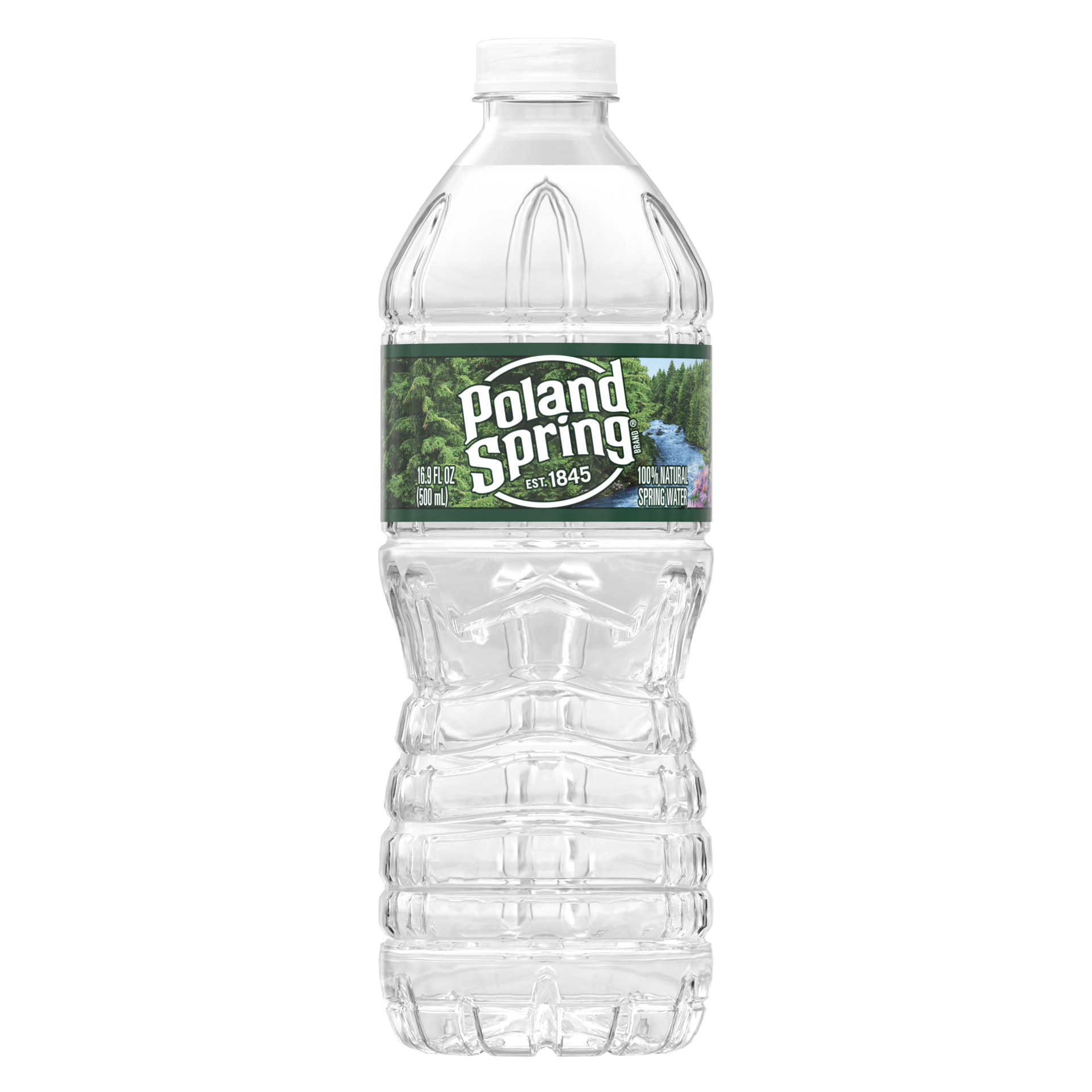 slide 1 of 4, Poland Spring Brand 100% Natural Spring Water, 16.9-ounce plastic bottle, 16.9 fl oz