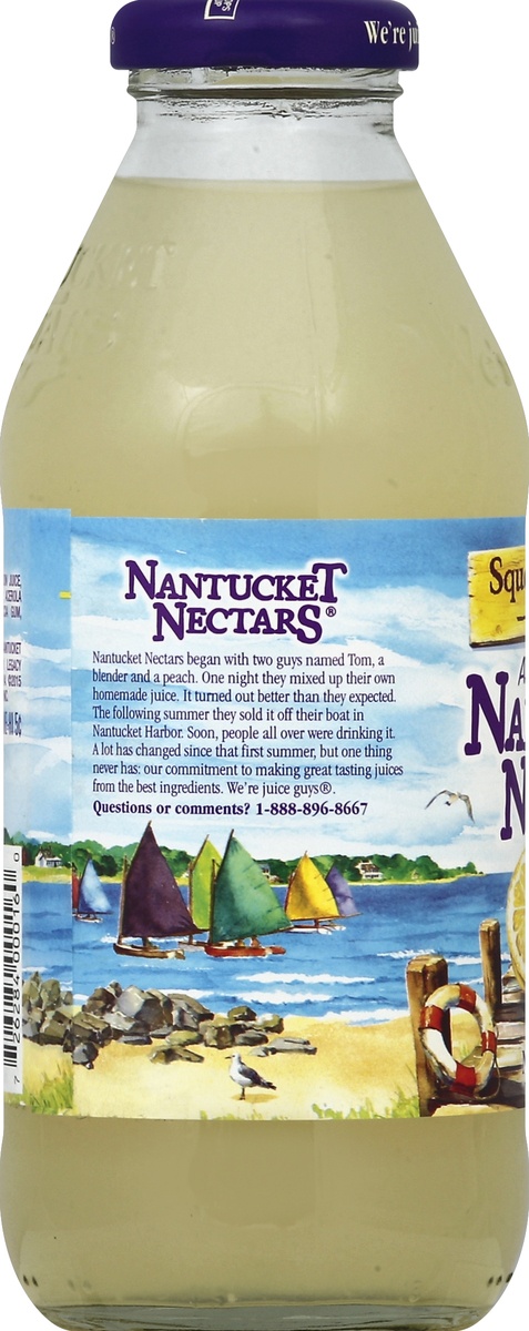 slide 3 of 4, Nantucket Nectars Squeezed Lemonade, 16 fl oz glass bottle, 16 fl oz