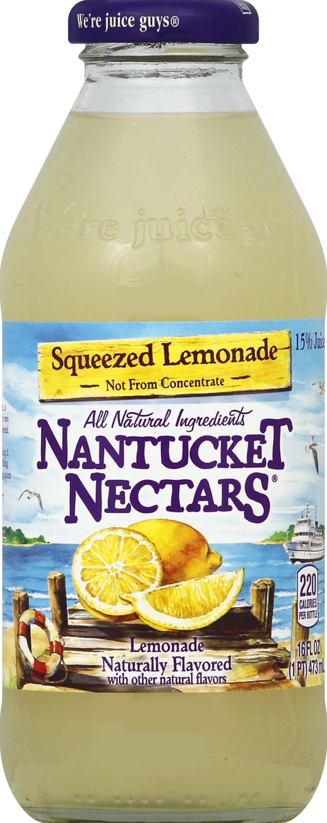 slide 4 of 4, Nantucket Nectars Squeezed Lemonade, 16 fl oz glass bottle, 16 fl oz