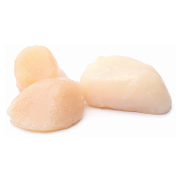 slide 1 of 1, Lunds Fisheries Lund's 80/100 Natural Dry Bay Scallops, 1 lb