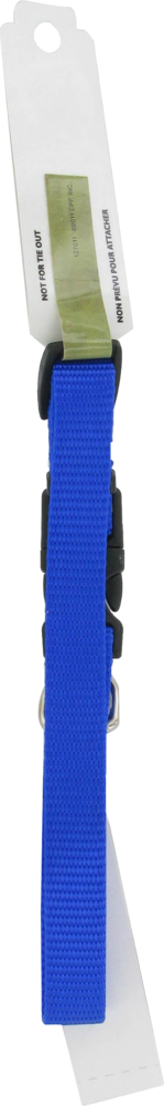 slide 3 of 4, Alliance Blue Small Dog Collar, 5/8 in