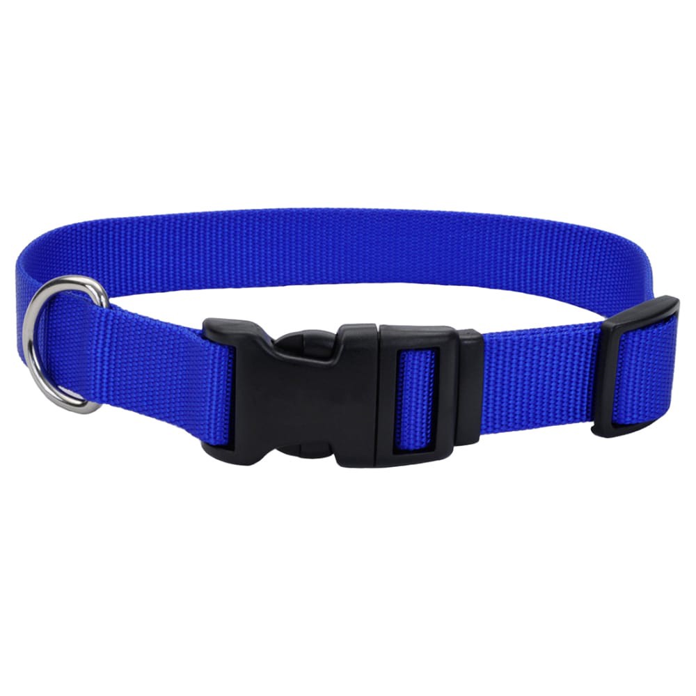 slide 2 of 4, Alliance Blue Small Dog Collar, 5/8 in