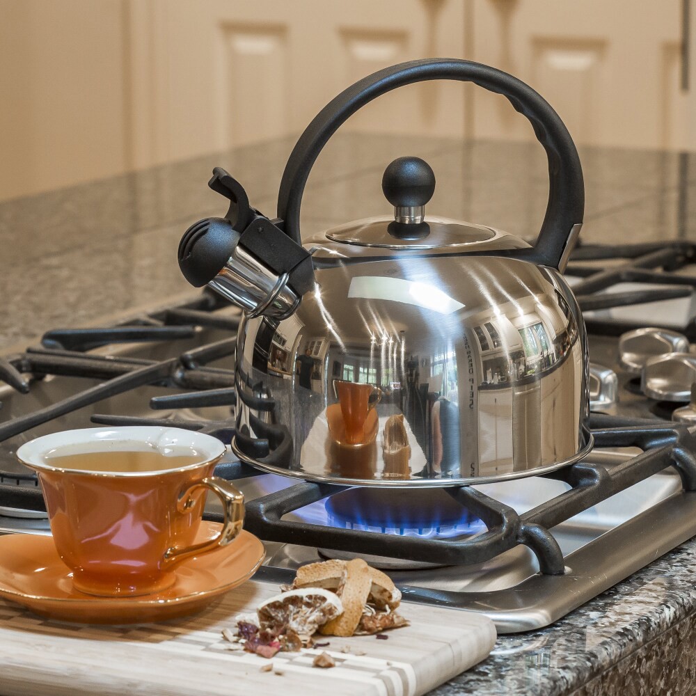 slide 4 of 5, Primula Today Stainless Steel Whistling Kettle, 2 qt