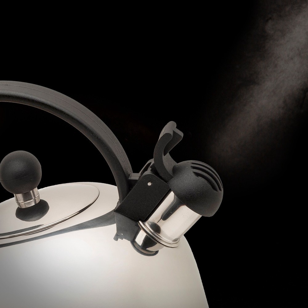 slide 5 of 5, Primula Today Stainless Steel Whistling Kettle, 2 qt