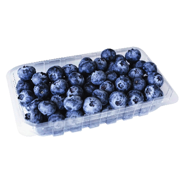Jumbo Blueberries 1 ct Shipt