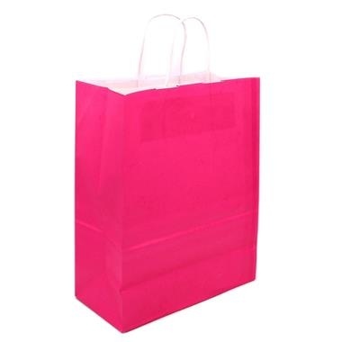 slide 1 of 1, Hallmark Gift Bag - Hot Pink, 1 ct