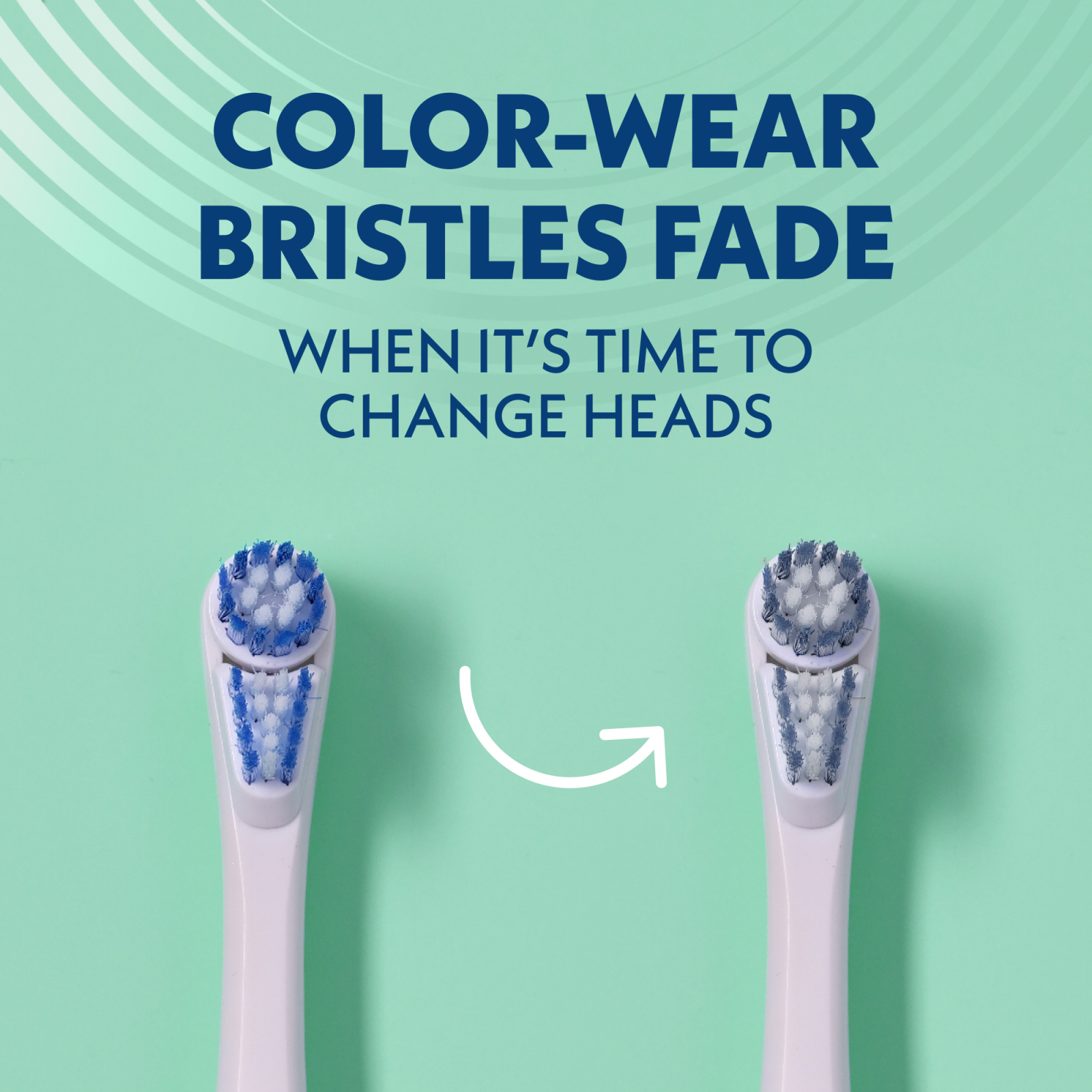 slide 3 of 5, Spinbrush NEW PRO WHITEN Replacement Heads, Electric Toothbrush Refills, Soft Bristles, 2 Count, 2 ct