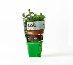 Soli Organic Living Mint