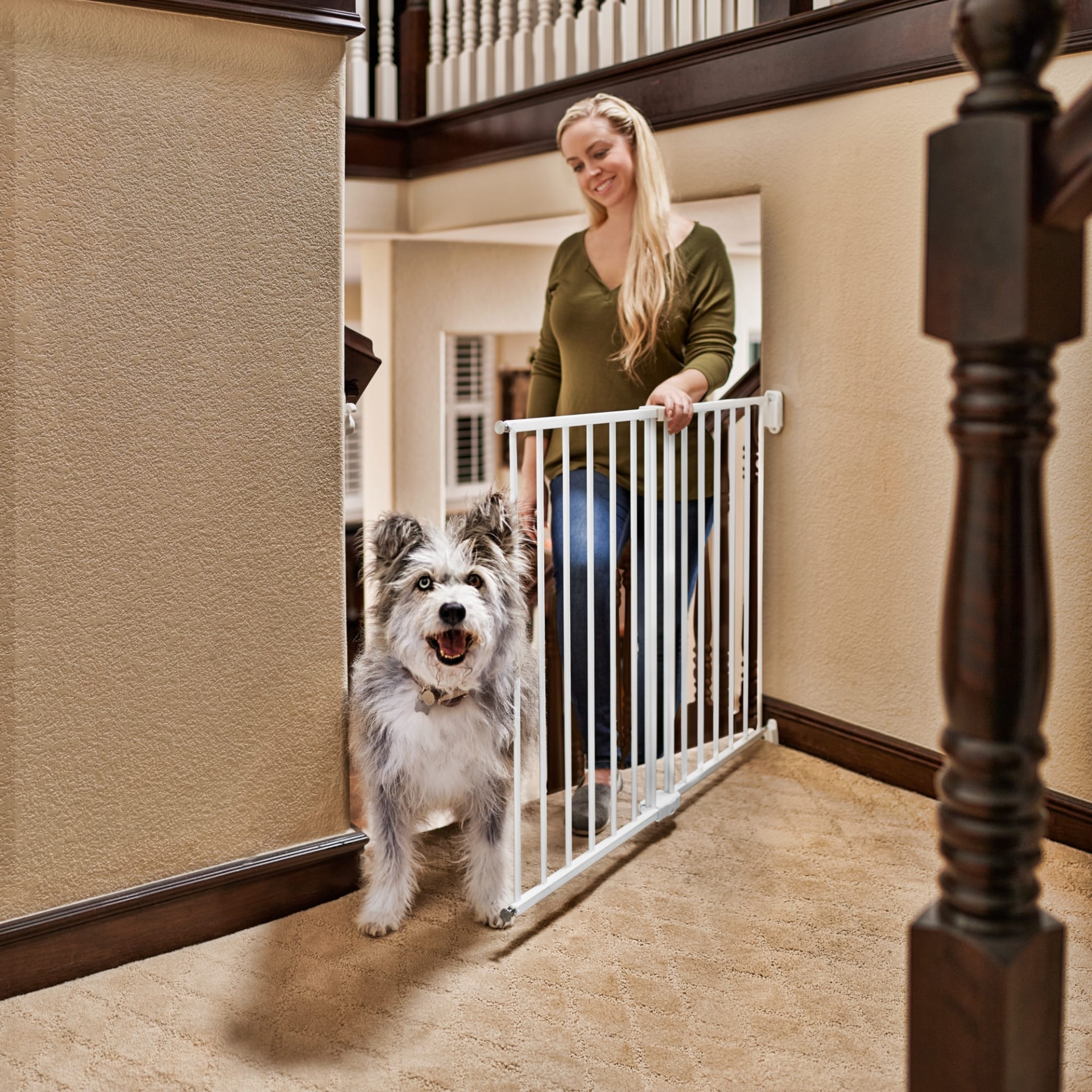 slide 1 of 1, You & Me Stairway Walk-Thru Pet Gate, 1 ct