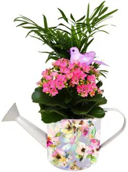 Madison Watering Can