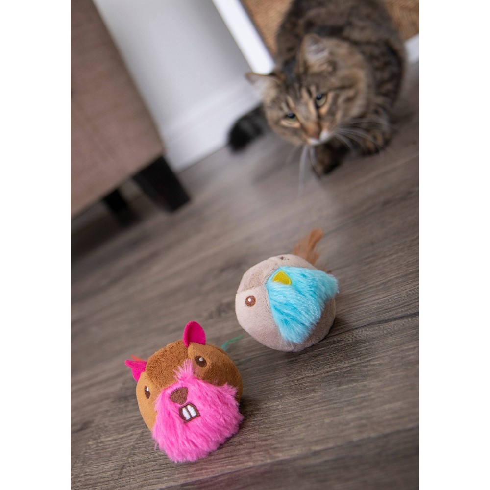 slide 10 of 12, Smartykat Chit Chatter Cat Toy, 1 ct