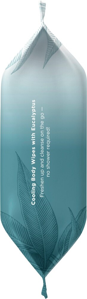 slide 3 of 5, Burt's Bees Burts Bees Active Body Towelletes, 30 ct