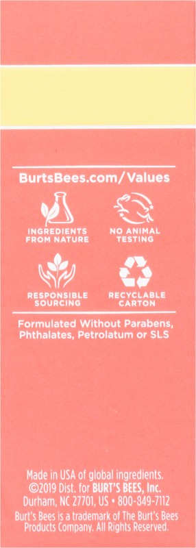 slide 3 of 4, Burt's Bees with Rosehip Seed Extract Face Oil 0.51 fl oz, 0.51 fl oz