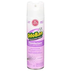 OdoBan Oboban Lavender Can