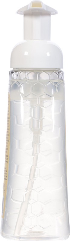 slide 2 of 4, Burt's Bees Foaming Wild Honeysuckle Hand Soap, 12 fl oz