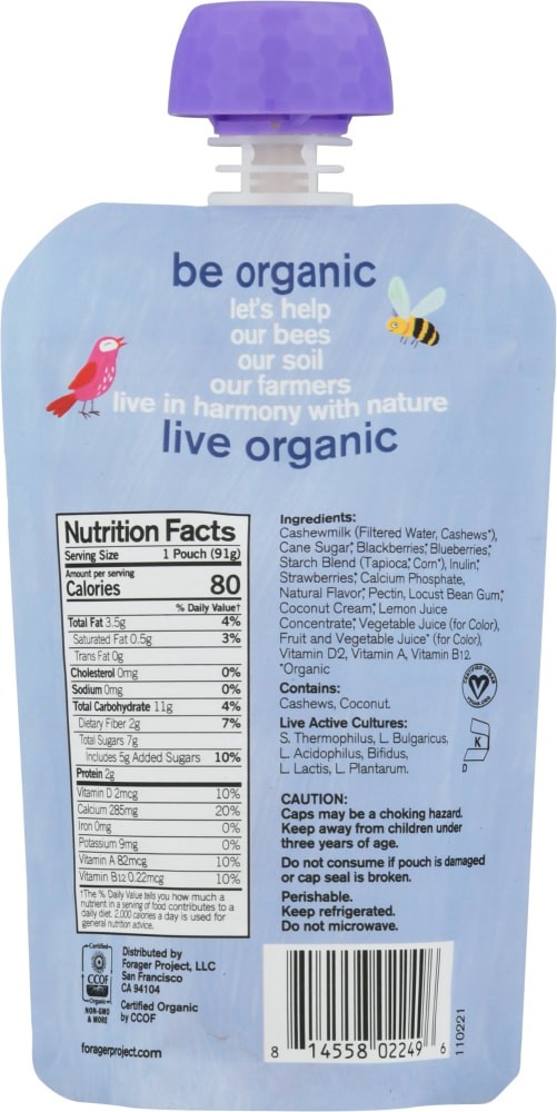 slide 2 of 2, Forager Project Dairy Free Organic Kids Berry Berry Cashewmilk Yogurt 3.2 oz, 3.2 oz