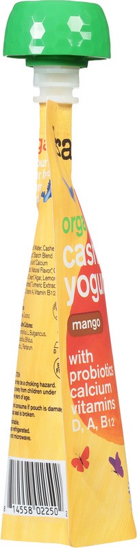 slide 4 of 5, Forager Project Dairy-Free Organic Mango Cashewmilk Yogurt 3.2 oz, 3.2 oz