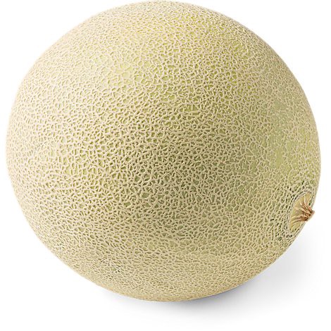 slide 1 of 1, Cantaloupe Melon, 1 ct