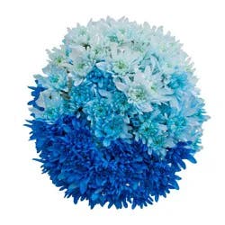 Consumer Bunch Ombre Poms, 1 ct