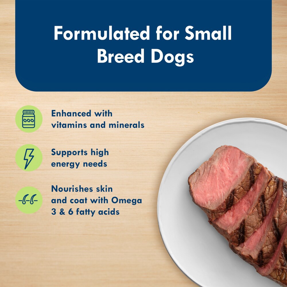 slide 4 of 6, Blue Buffalo Delights Filet Mignon in Gravy for Small Breed Dogs, 3.5 oz