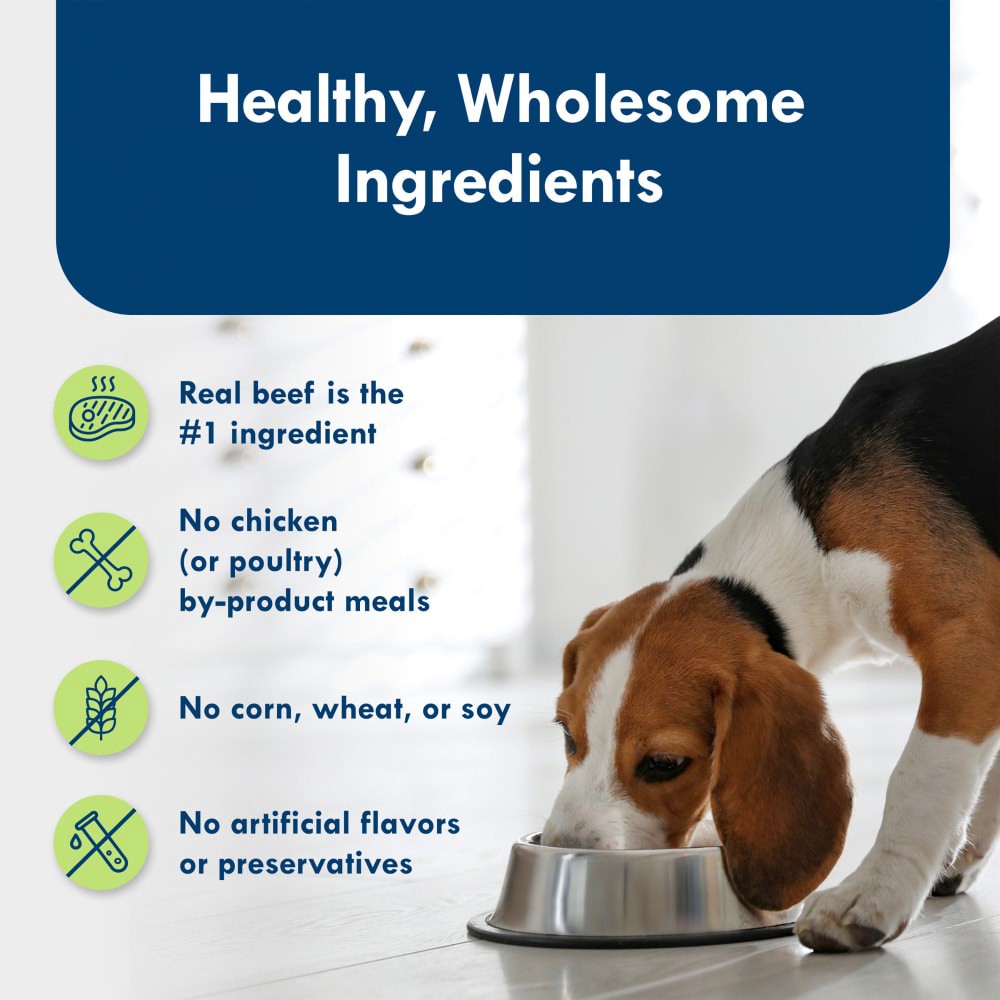 slide 3 of 6, Blue Buffalo Delights Filet Mignon in Gravy for Small Breed Dogs, 3.5 oz