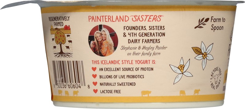 slide 4 of 5, Painterland Sisters Organic Skyr Vanilla Bean Yogurt 5.3 oz, 5.3 oz