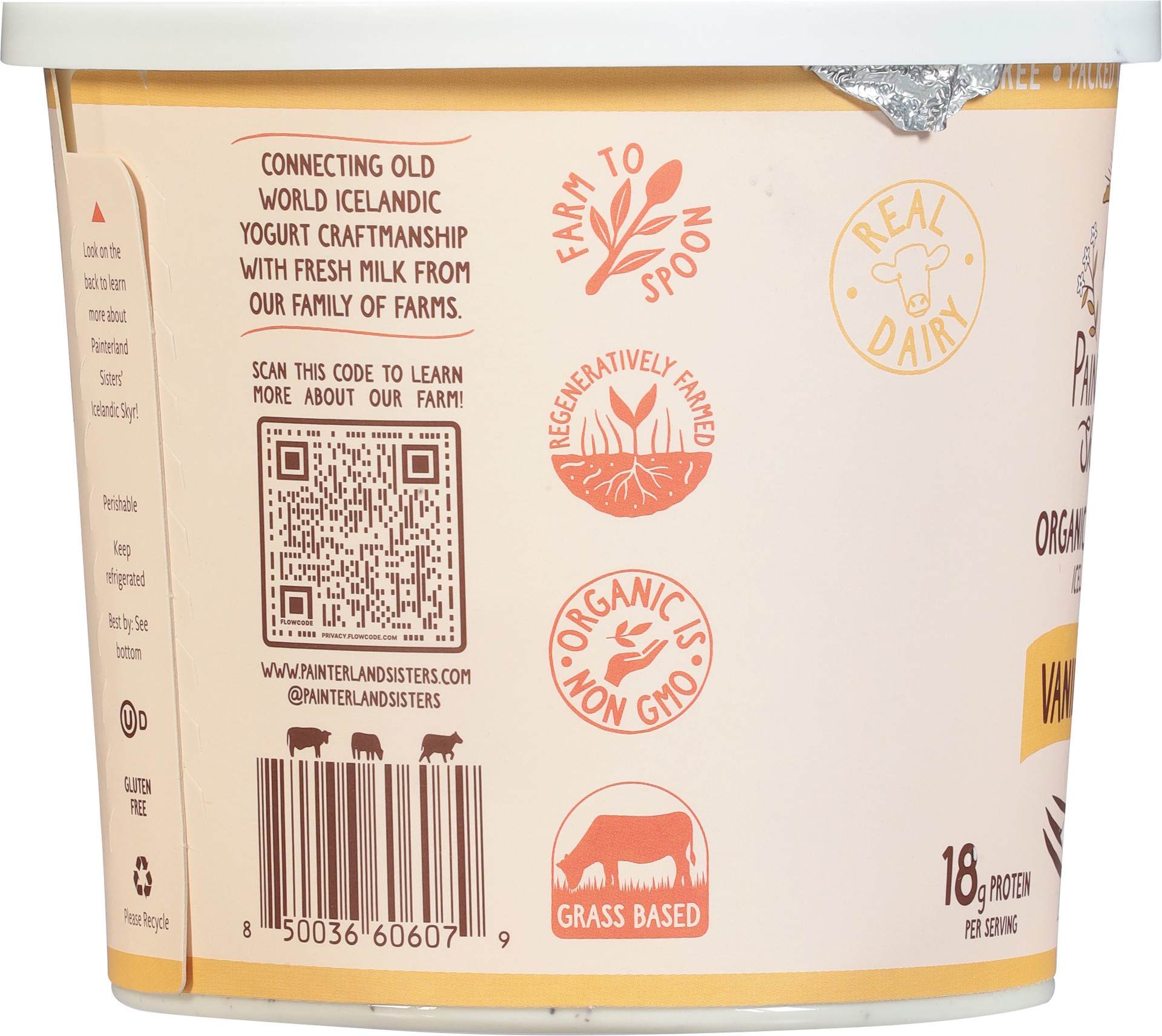 slide 2 of 5, Painterland Sisters Icelandic Style Vanilla Bean Yogurt 24 oz, 24 oz