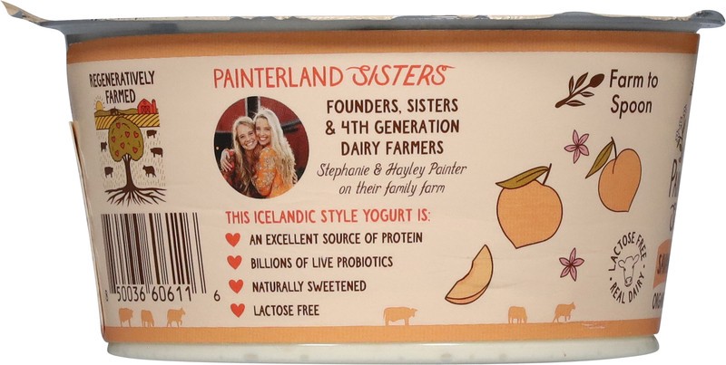 slide 5 of 5, Painterland Sisters Organic 6% Milkfat Icelandic Style Savannah's Peach Skyr Yogurt 5.3 oz, 5.3 oz